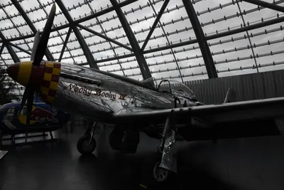 DSC_7086 (Large).JPG